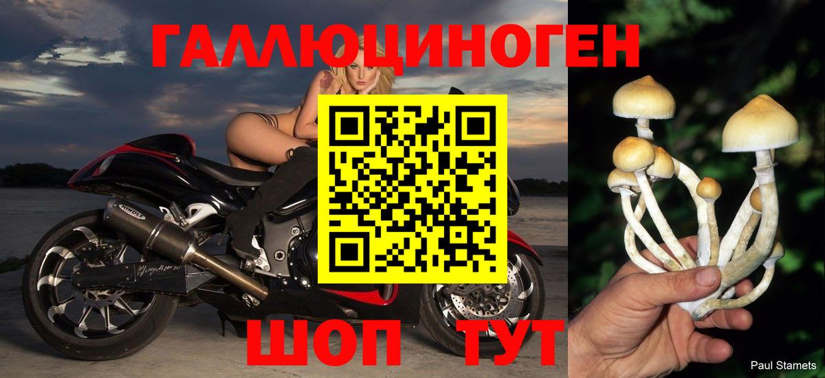 Галлюциногенные грибы Psilocybe  Галлюциногенные грибы мухоморы  Вход с VPN  Самара 
